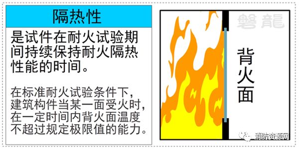 圖片5